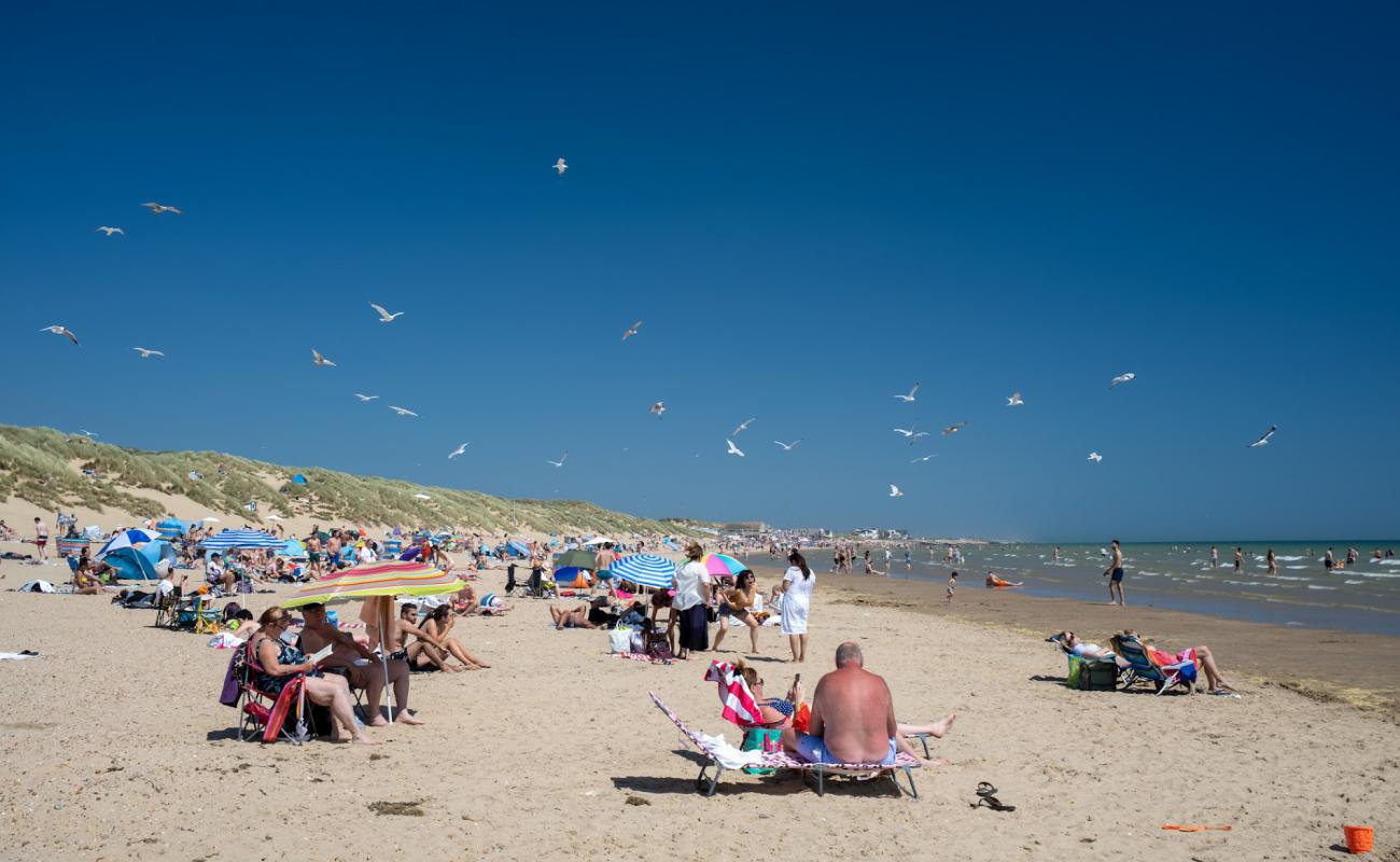 Foto de Camber sands beach con arena brillante superficie