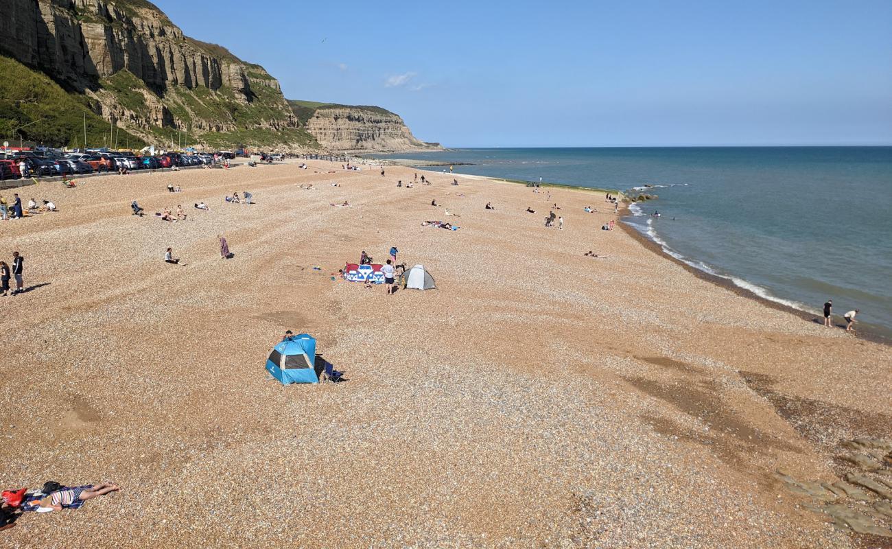 Foto de Playa de Hastings con guijarro fino claro superficie