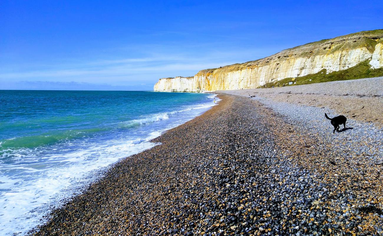 Foto de Newhaven beach con arena brillante y rocas superficie