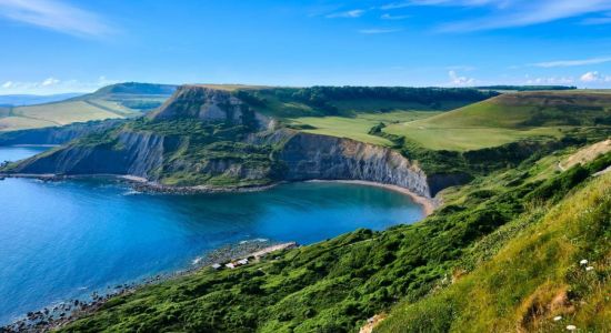 Chapman's Pool