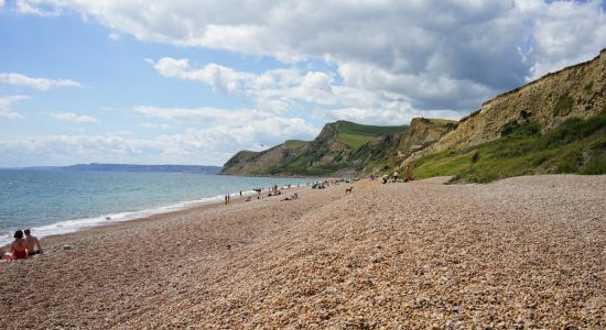 Playa de Eype