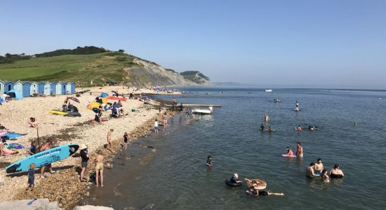 Playa de Charmouth