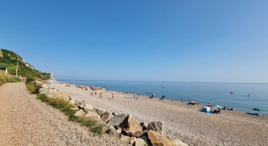 Playa de Branscombe