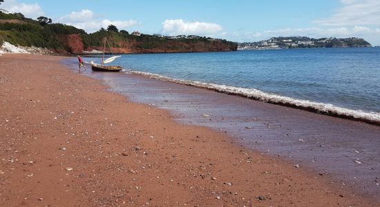 Hollicombe beach