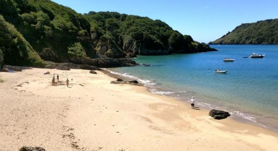 Playa de Sunny Cove