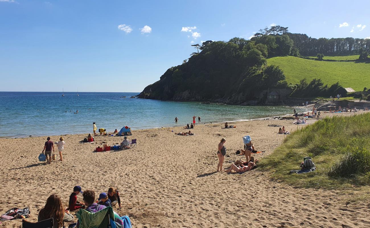 Foto de Playa de Mothecombe con arena brillante superficie