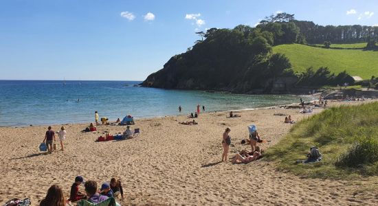 Playa de Mothecombe