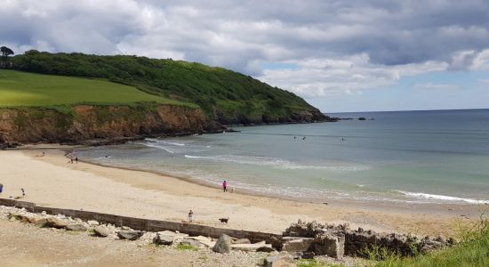 Playa de Caerhays (Bahía de Porthluney)