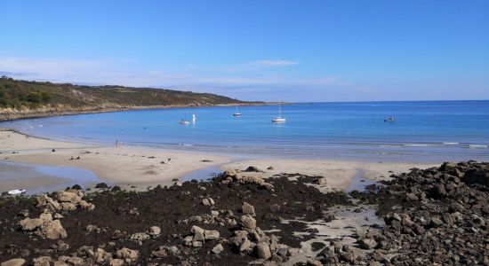 Coverack Cove beach