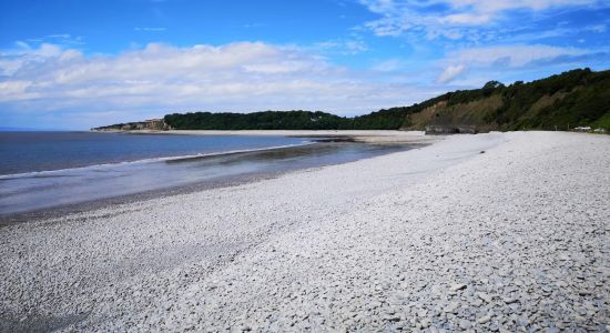 Pebble beach