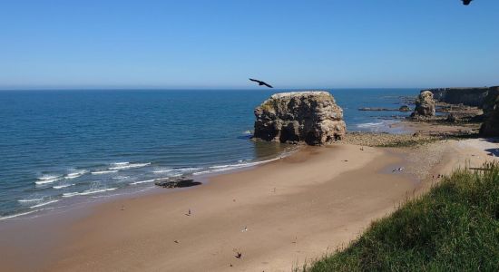 Playa de Marsden