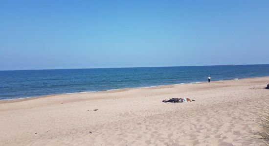 Playa de Warkworth