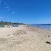 Playa de Alnmouth