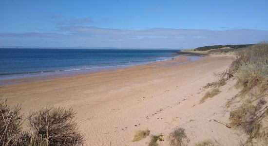 Playa de Gullane