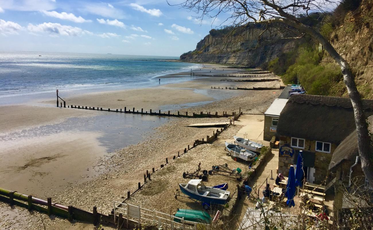 Foto de Shanklin Beach,Luccombe End con guijarro ligero superficie