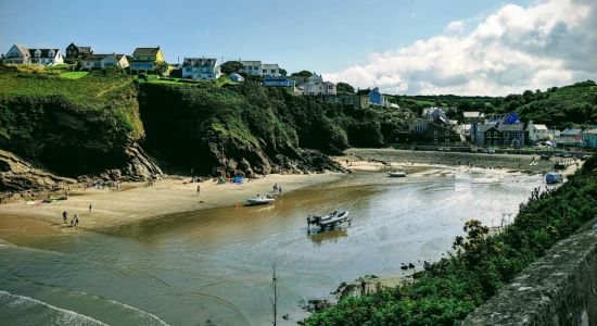 Littlehaven Beach