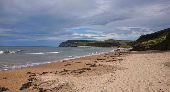 Playa de Skinningrove