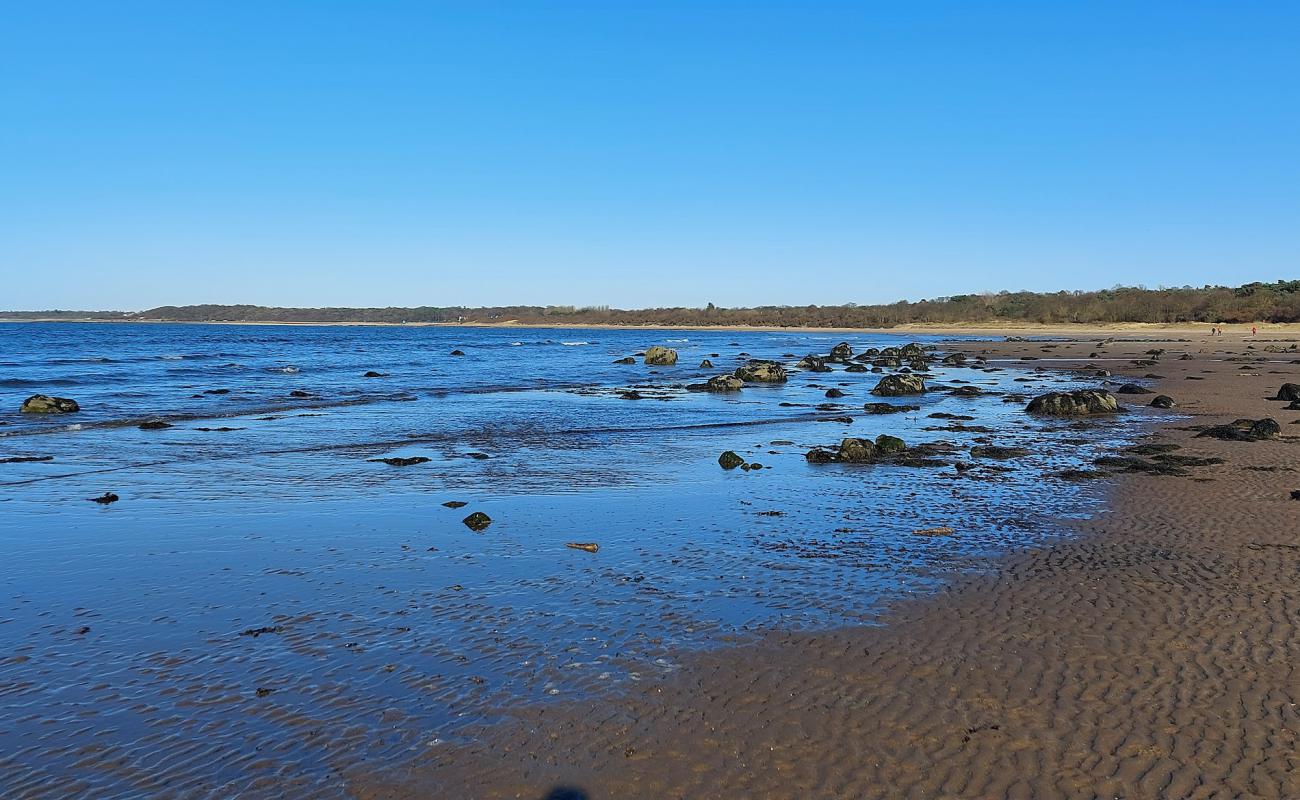 Foto de Seton Sands Beach con arena brillante superficie