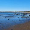 Seton Sands Beach