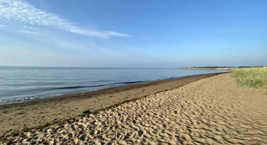 Scott Hislen Beach