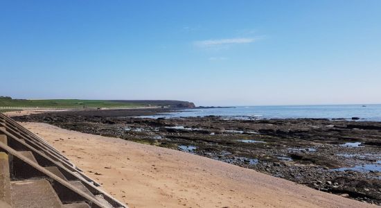 Victoria Park Beach