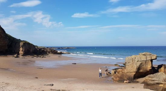 Cove Bay Beach