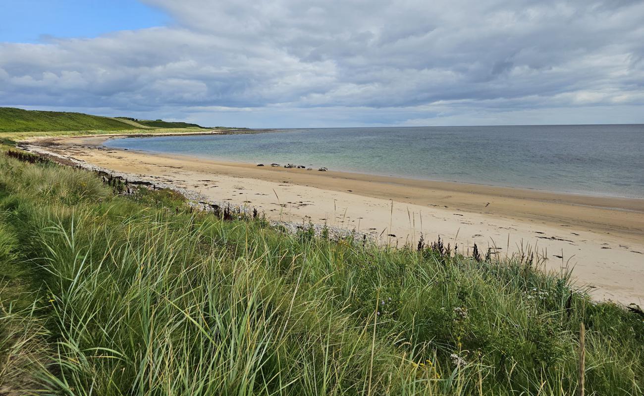 Foto de Golspie Beach con arena brillante superficie