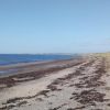 Prestwick Beach