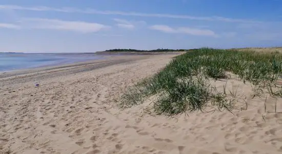 Millom Beach