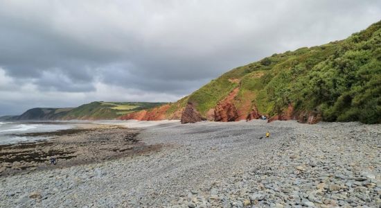 Playa de Peppercombe