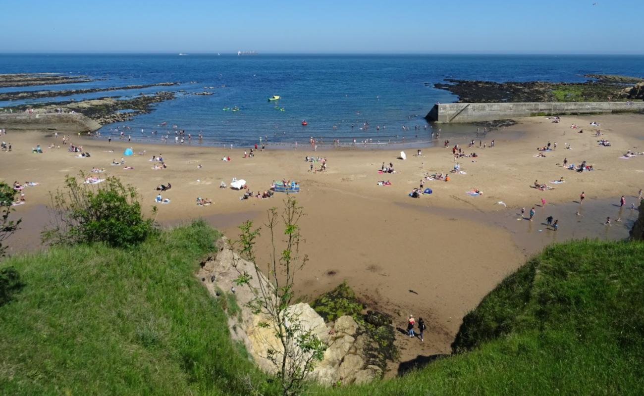 Foto de Playa de Cullercoats con arena brillante superficie