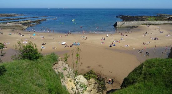 Playa de Cullercoats