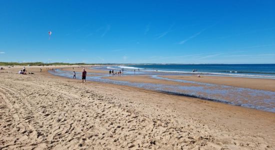 Playa de Cresswell