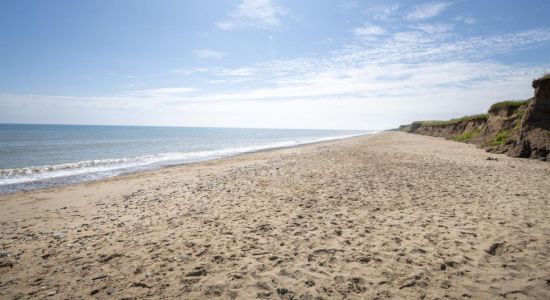 Playa de Barmston