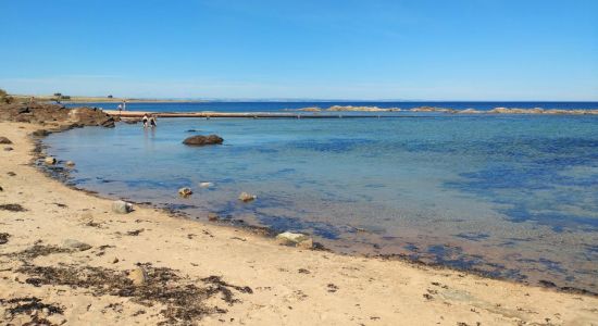 Playa de Kingsbarn