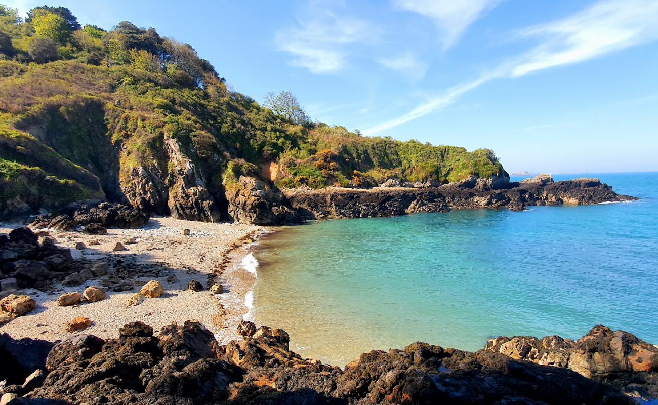 Foto de Le Pied du Mur (Marble Bay) con guijarro ligero superficie