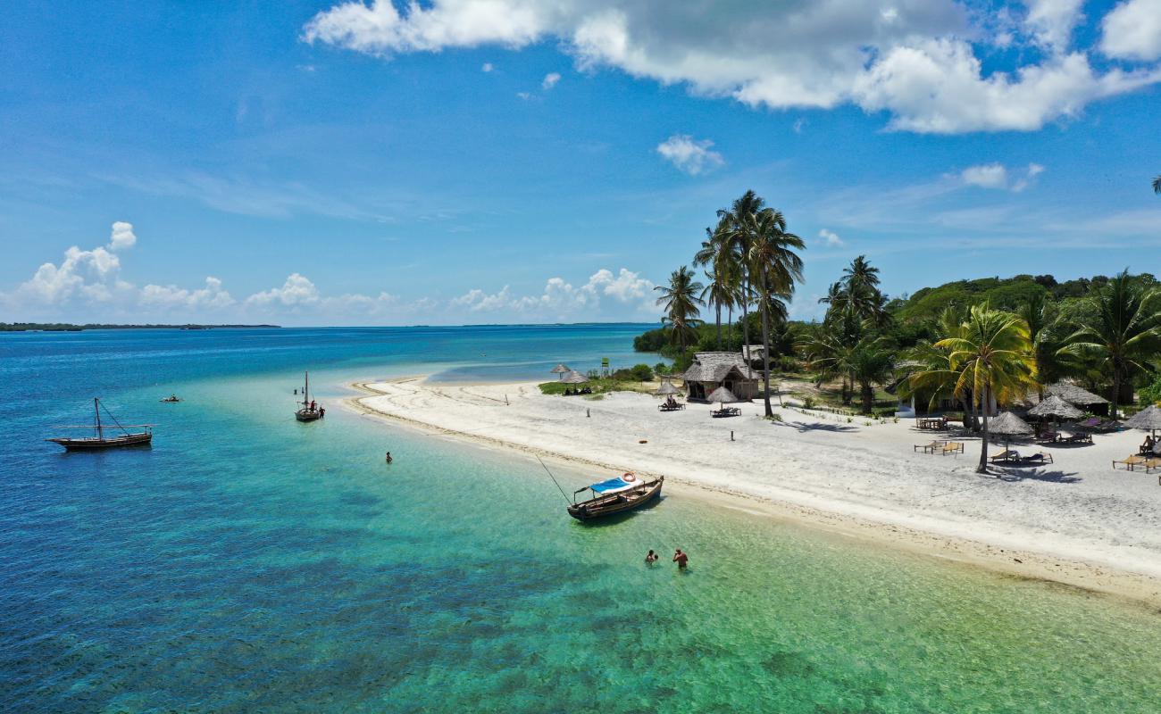 Foto de Playa de la Isla Mafia con brillante arena fina superficie