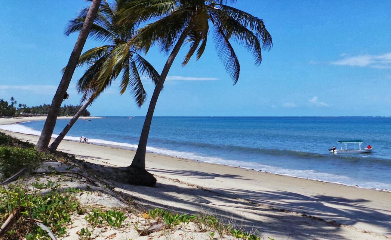 Foto de Ushongo Beach con arena brillante superficie