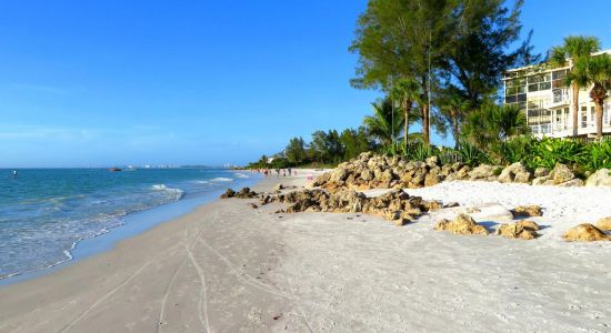 Sarasota beach