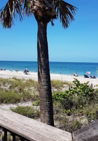 Englewood Beach