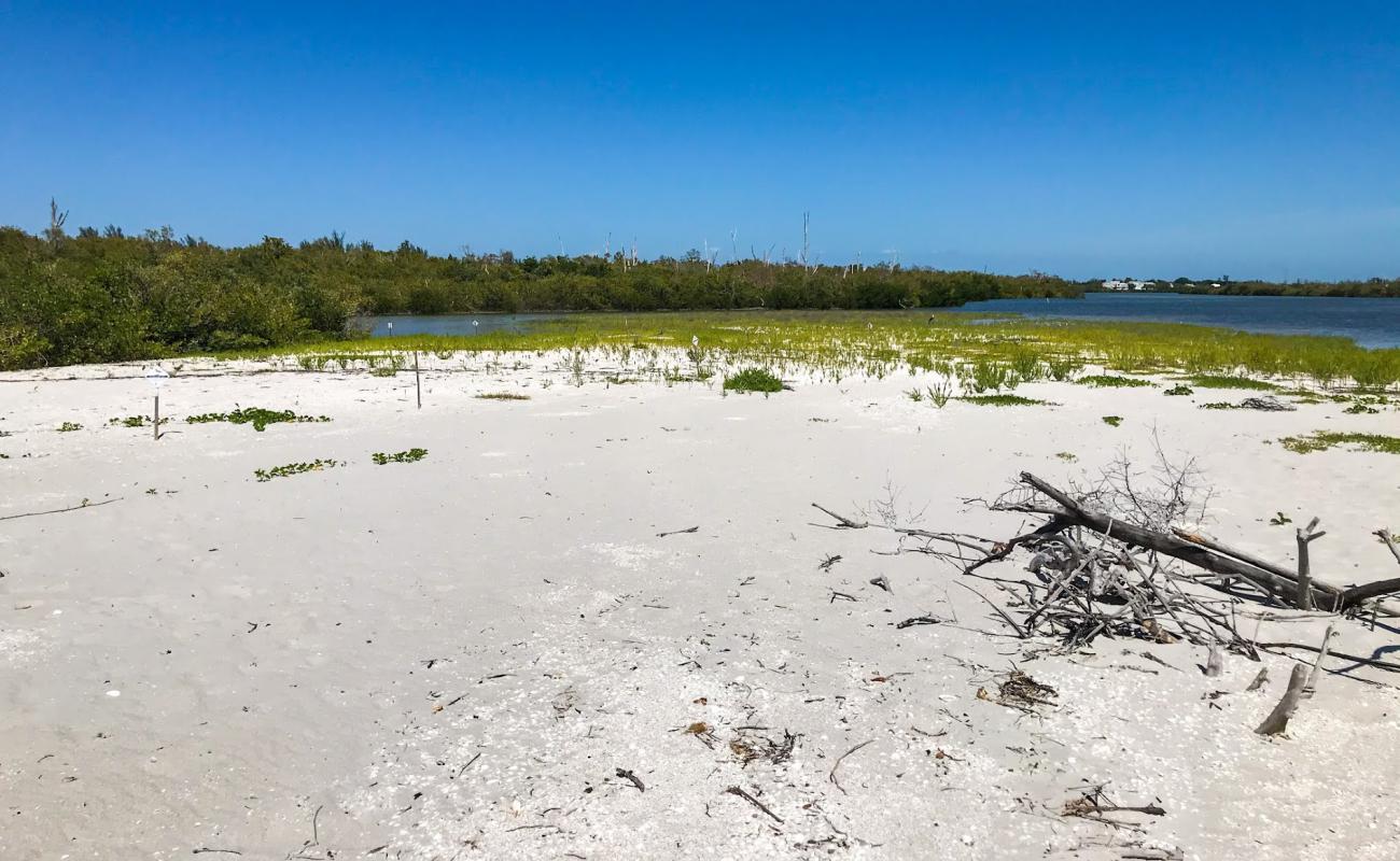 Foto de Silver Key beach con arena de concha brillante superficie