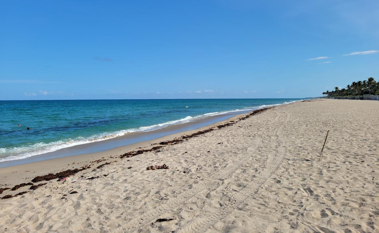 Foto de Palm Island beach con arena brillante superficie