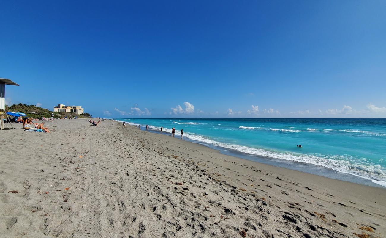 Foto de Lazy Loggerhead beach con arena brillante superficie