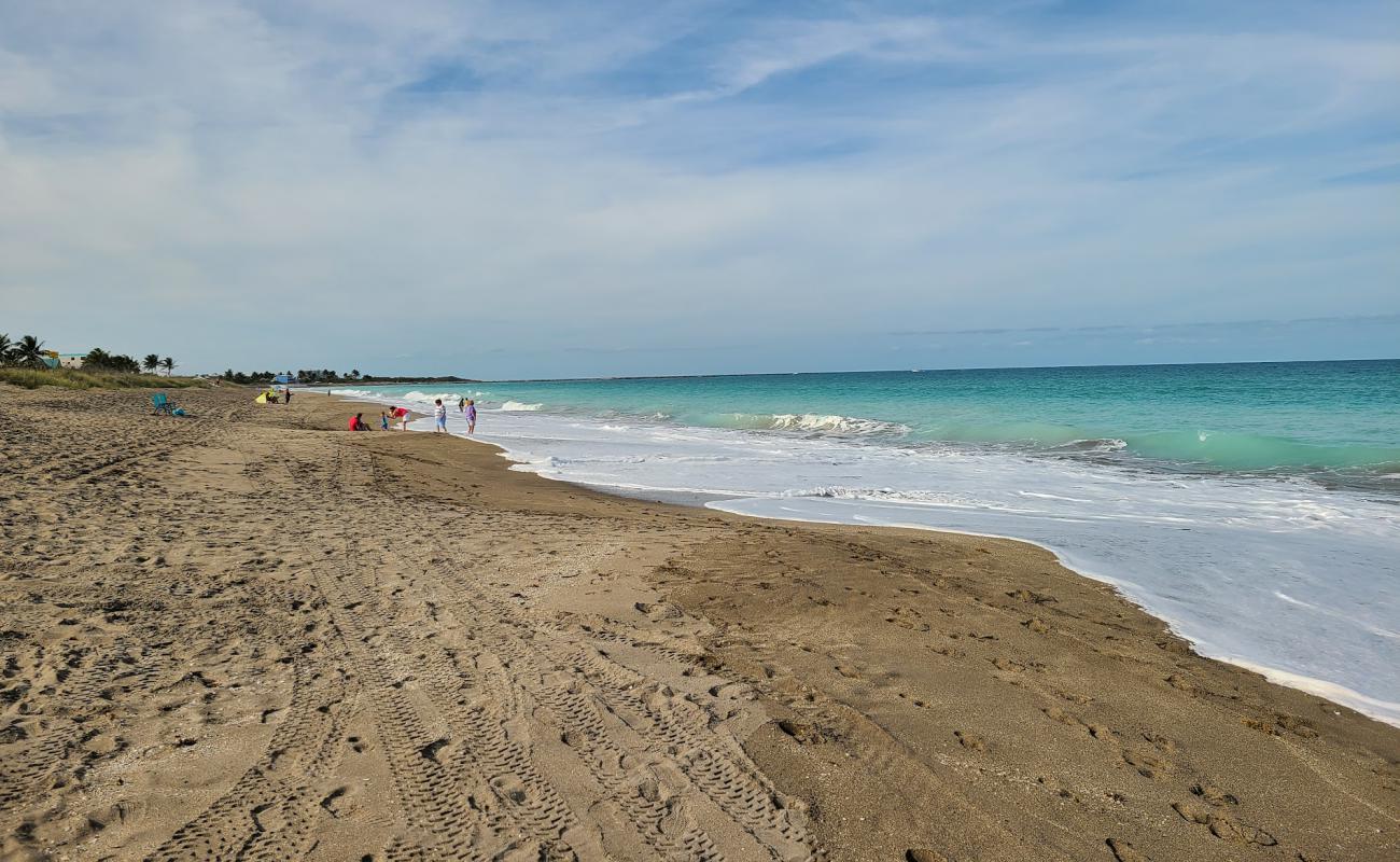 Foto de Porpoise beach con arena de concha brillante superficie