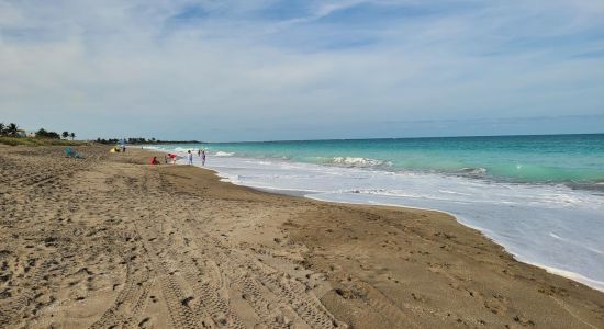 Porpoise beach