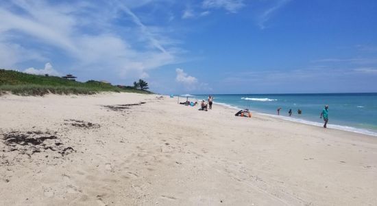 Indian River Oaks beach