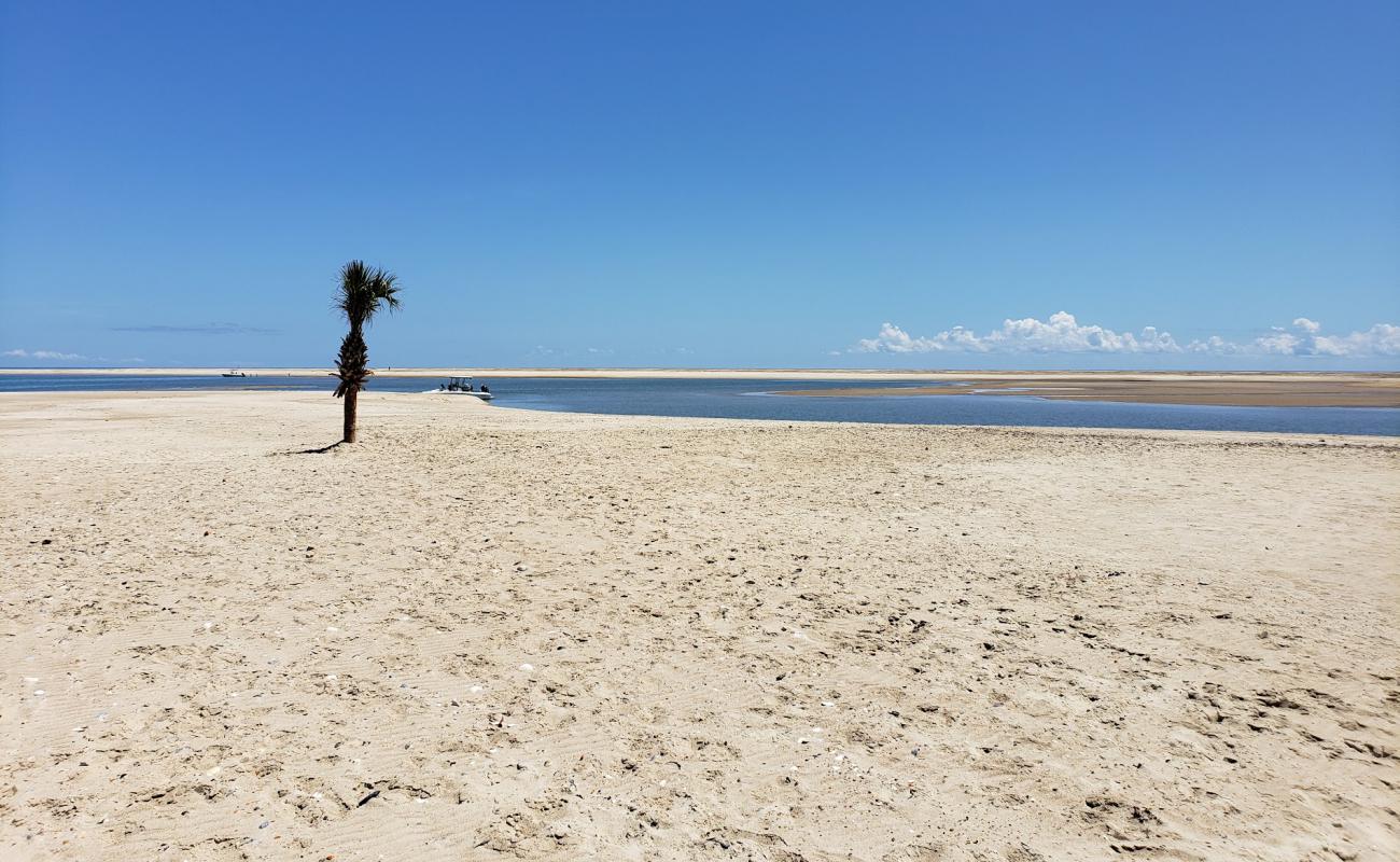 Foto de Cape Lookout beach con arena brillante superficie