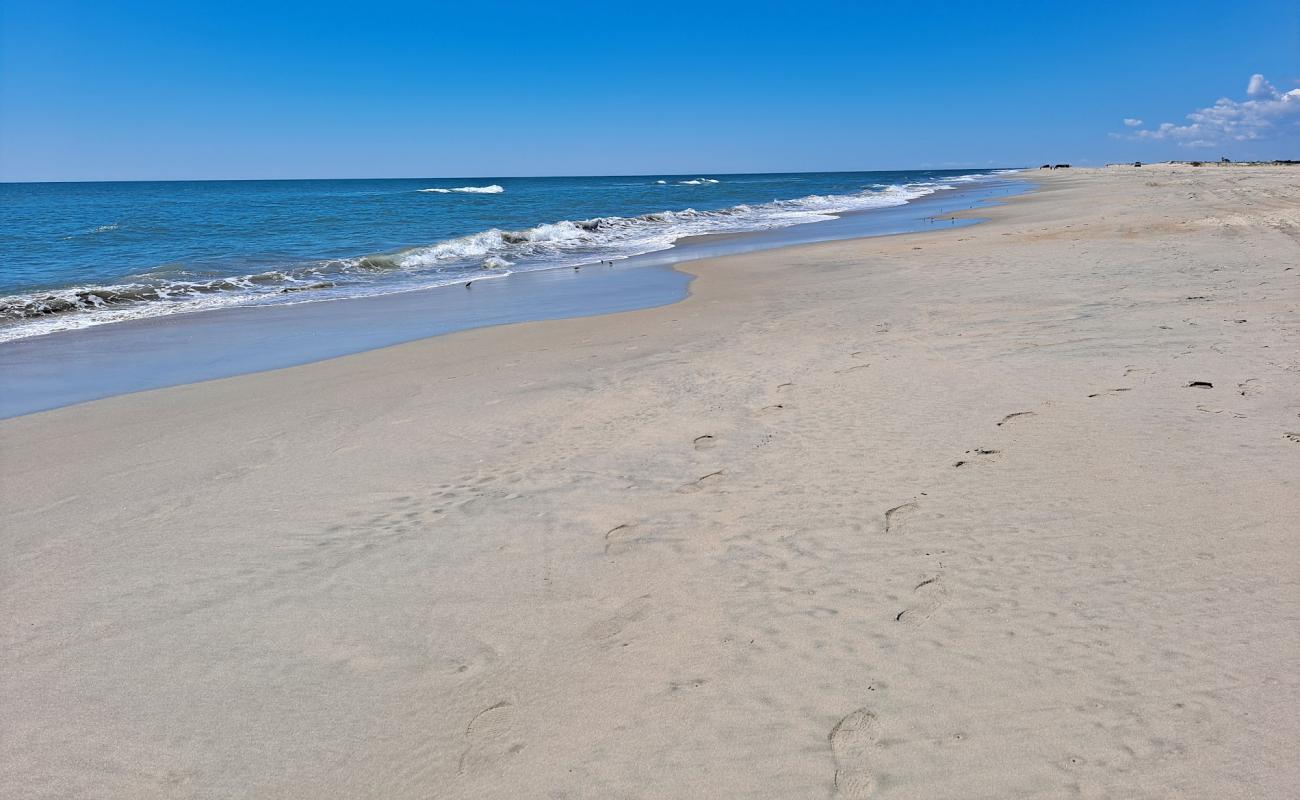 Foto de Playa de Assateague con arena brillante superficie