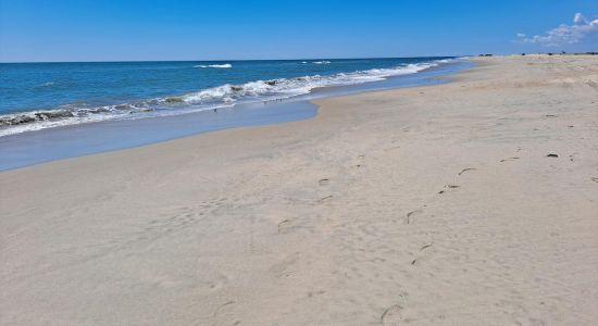 Playa de Assateague