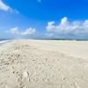 Assateague beach